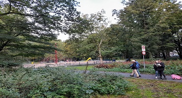 Groep 7 op zoek naar bomen