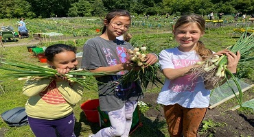 Groep 6a bij de Schooltuinen